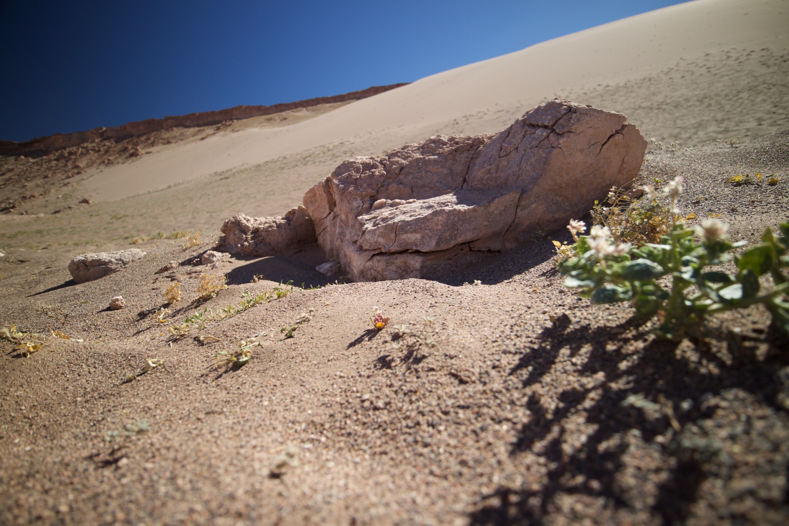 Die Atacamawüste